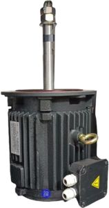 Cooling Tower Motor