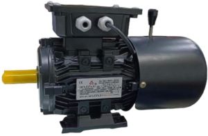 Electric Foot Mounted Brake Motor