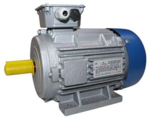 Electric Three Phase Motor