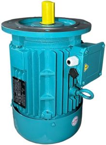 Electrical Three Phase Motor