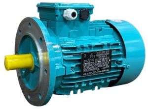 Flange Mount Motor