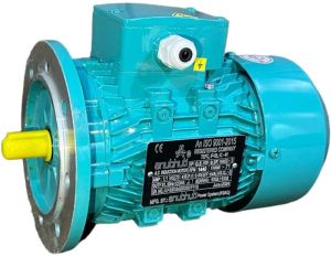 Flange Mounted Electric Motor
