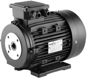 Foot Cum Flange Mounted Electric Motor