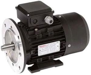 Foot Cum Flange Mounting Motor
