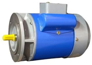 Single Phase AC Electric Motor