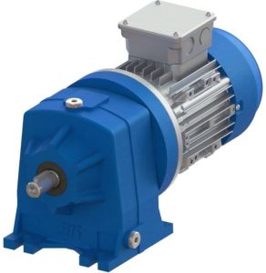 Single Phase Electric Gear Motor