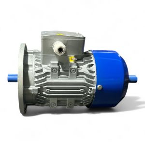Three Phase Squirrel Cage Double Shaft Induction Motor