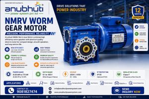 Three Phase Worm Gear Motor