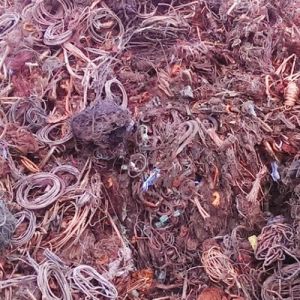 Copper Birch Cliff Scrap