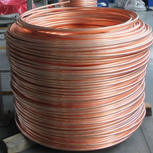 Copper Wire Rods