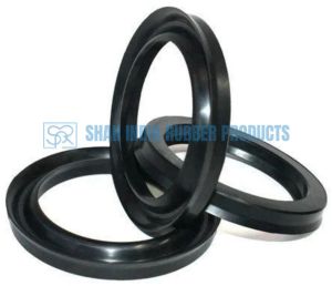 Neoprene Rubber Oil Seal