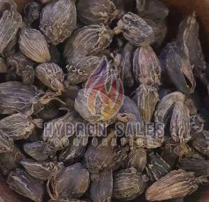 28mm Black Cardamom