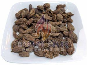36mm Plus Black Cardamom