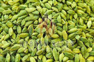 7mm Whole Green Cardamom
