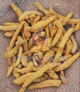 Sangli Turmeric Finger