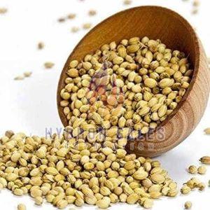 Whole Coriander Seed