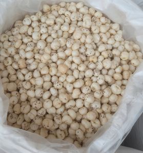 5 Plus Suta Makhana