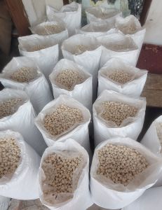 Rudransh Bhoj Makhana