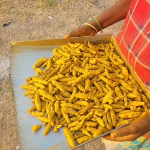 Fingure Turmeric AND Powder