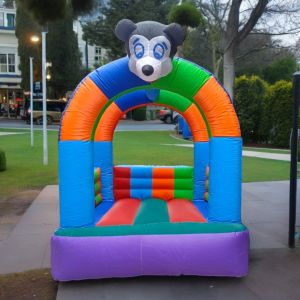 Inflatable Jumping Bouncer for Kids | Buy Online at Best Price