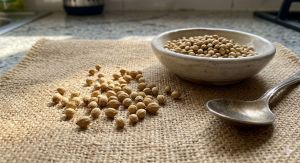 Whole Coriander Seeds