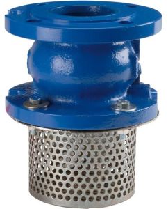 Cast Iron Foot Valve