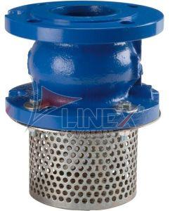 Cast Iron Foot Valve