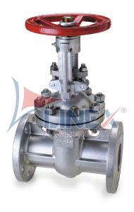 Stainless Steel Gate Valves