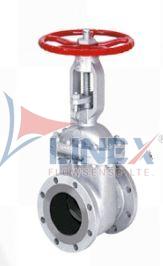 Steam Check Valve