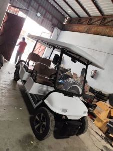 Electric Golf Cart for Campus