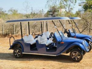 Electric Golf Cart for Wedding