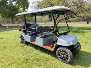 Multi Seater Electric Golf Cart