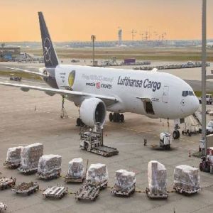 Air Transportation Service