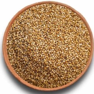 Bird Feed Grade Kodo Millet