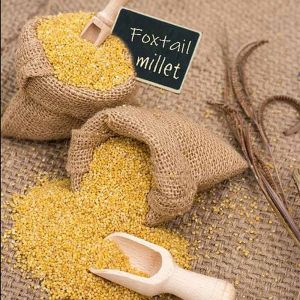 Unpolished Foxtail Millet