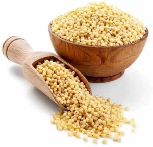 Unpolished Proso Millet