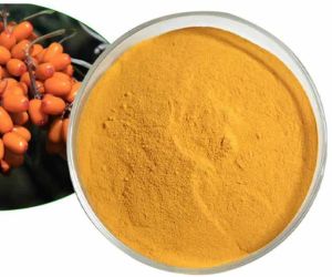 Organic Sea Buckthorn Berry Powder