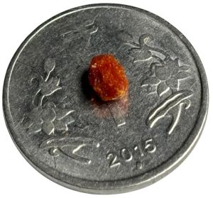 Seabuckthorn Dry Berry