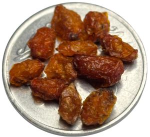 Seabuckthorn Dry Berry
