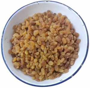 Iranian Raisins