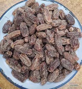 Zahidi Dry Date