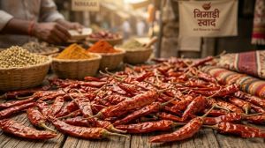 Nimadi Whole Dried Red Chilli