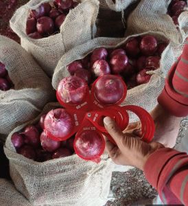 Onions