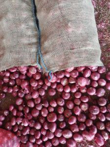 Onions
