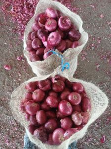 Onions