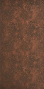 Corten Steel Flat ACP Panel