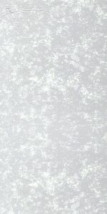 Galaxy Neptune ACP Panel