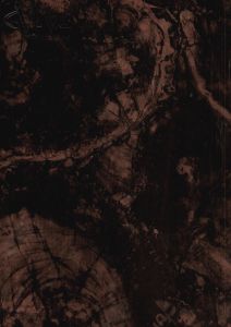 Premium Emperador Marble ACP Panel