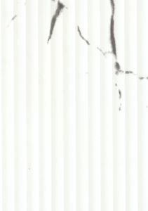 Premium Fluted Marble ACP Panel