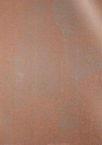 Tarnish Metallic Aged Copper ACP Panel
